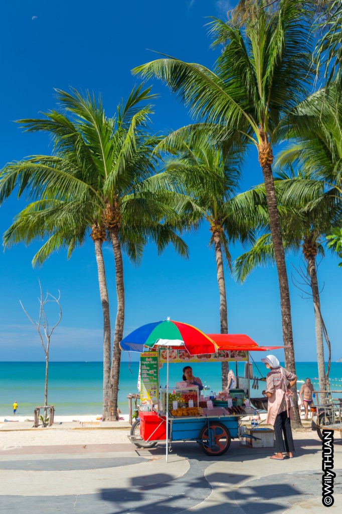 patong-1114