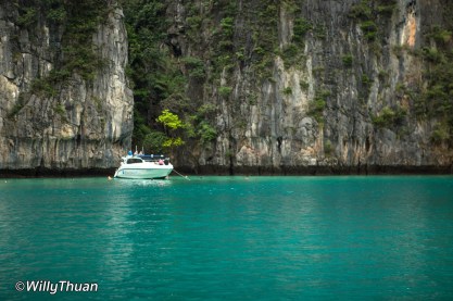 Phi Phi daytrip cruises