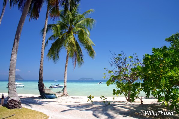 Phi Phi Island