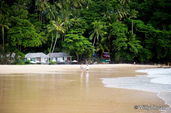 the-surin-pansea-beach1